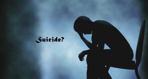 The Suicide Mission The Suicide Mission - Okoko G