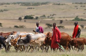Clerics Cry Out Over Herdsmen Killings Fulani herdsmen