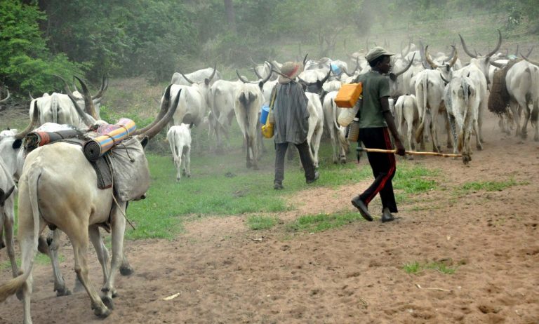 Delta: CAN Alleges Herdsmen Plot to Kill More Farmers<br />
<b>Deprecated</b>:  strip_tags(): Passing null to parameter #1 ($string) of type string is deprecated in <b>/home/naijago/public_html/wp-content/themes/Newsmag/loop-archive.php</b> on line <b>49</b><br />
