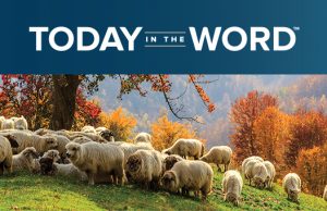Daily Devotion: Set Free Set Free