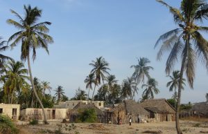 Al-Shabaab Kills Four More Christian Men in Lamu, Kenya Lamu, Kenya