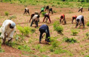 NCPC to Hold Joint Farmers Conference in 2018 NCPC to Hold Joint Farmers Conference in 2018