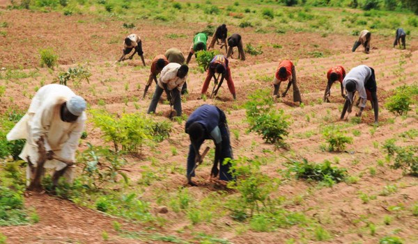 NCPC to Hold Joint Farmers Conference in 2018