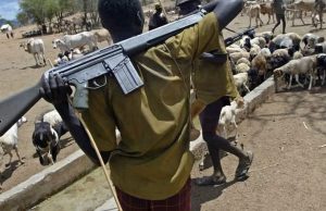 Roman Catholics to Protest Herdsmen Killings Catholic Bishops Declare Cattle Colonies Unacceptable