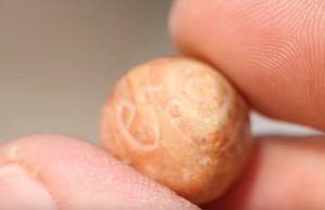 Biblical Beka Stone Discovered in Jerusalem beka stone