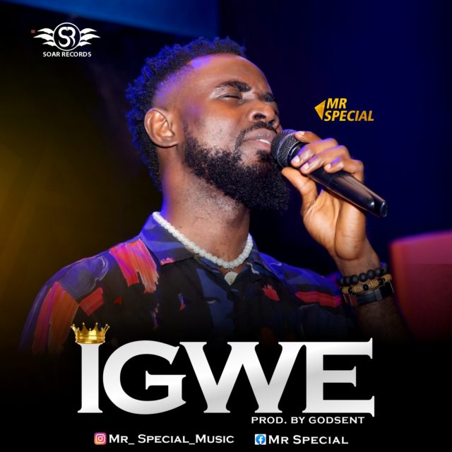 Mr. Special - Igwe (Art cover)